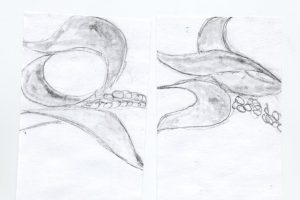 Cain Inc Abby Wayne Cain Design Drawing