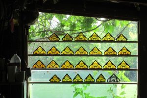 Cain Inc. Stained Glass Art Glass Painted Glass Daniel White