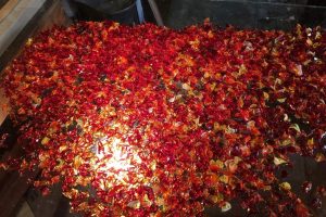 Cain Inc. Wayne Cain Daniel White Flameworking Lampworking Stained Glass Windows Art Glass Contemporary Nature Glass Leaves Petals