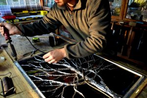 Cain Inc. Winter Tree Residential Stained Glass Art Glass Contemporary Solder Sculptured Daniel White