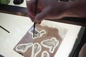 Daniel White Art Glass Stained Glass Painted Glass Birds