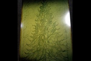 Tandem Friends School Charlottesville VA Stained Glass Sketch 01